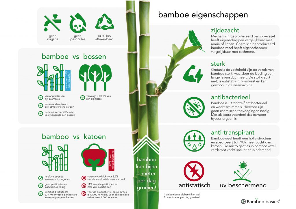 Bamboo-Infographic-HR-1-1